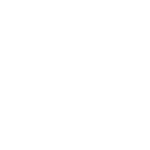 Programador Web WordPress Valencia